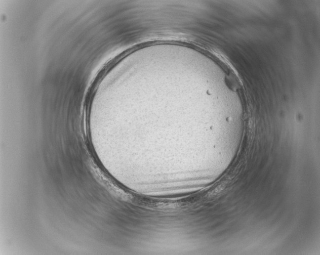 X0000054401080200508262225