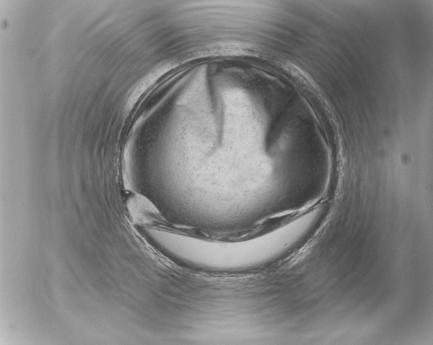 X0000054401081200508262225