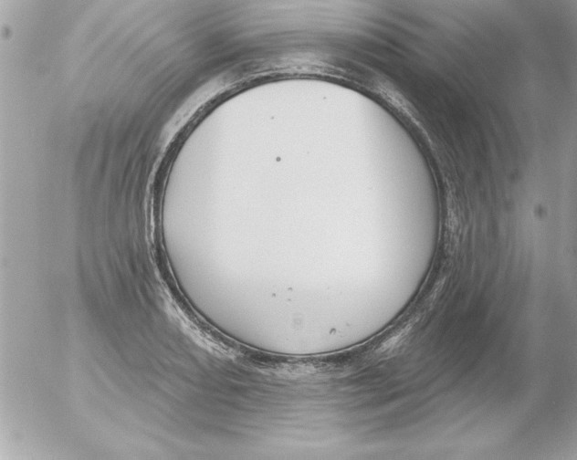 X0000054401082200508262225