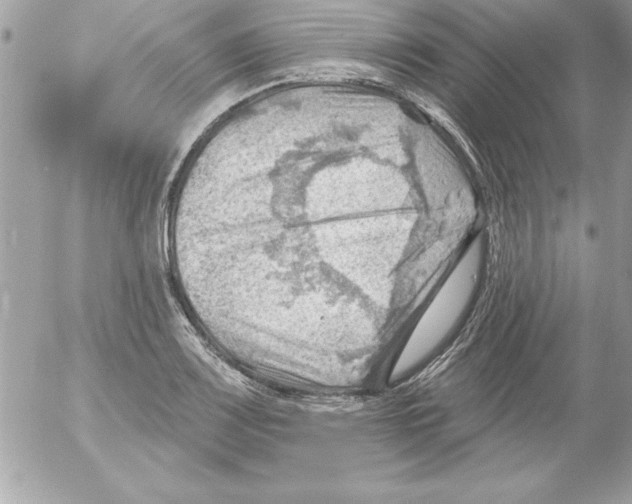 X0000054401083200508262225