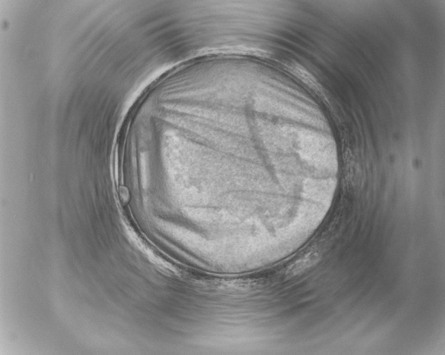 X0000054401084200508262225