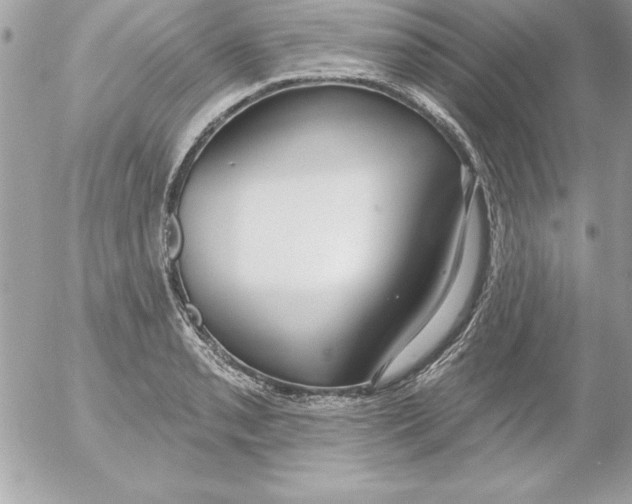 X0000054401085200508262225