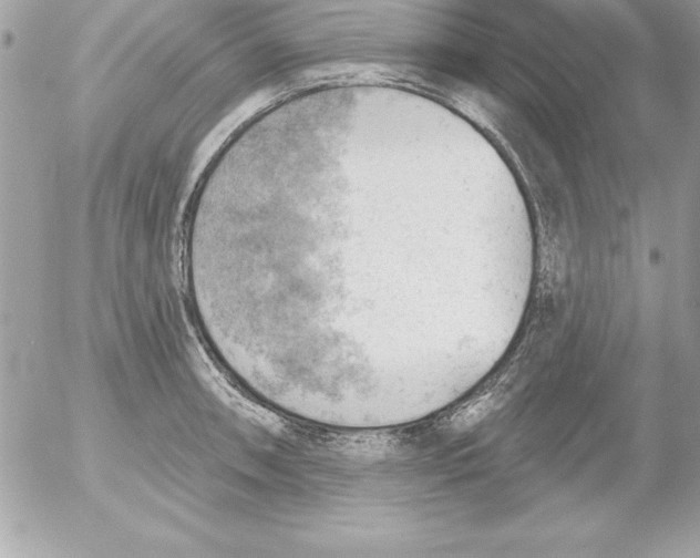 X0000054401090200508262225