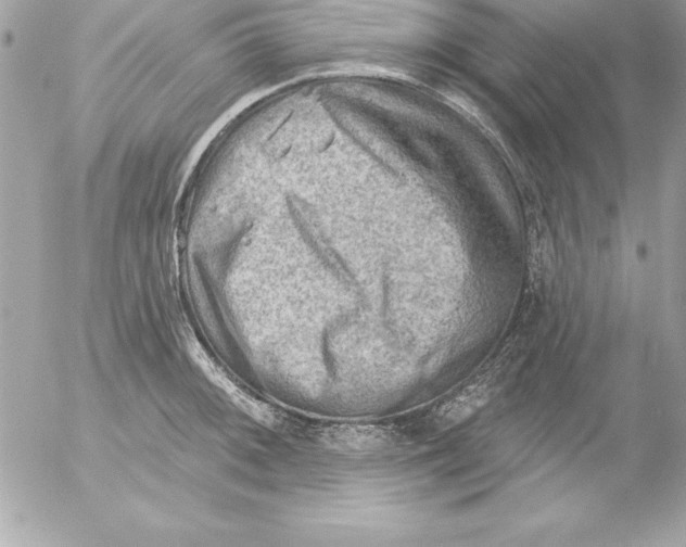 X0000054401092200508262225