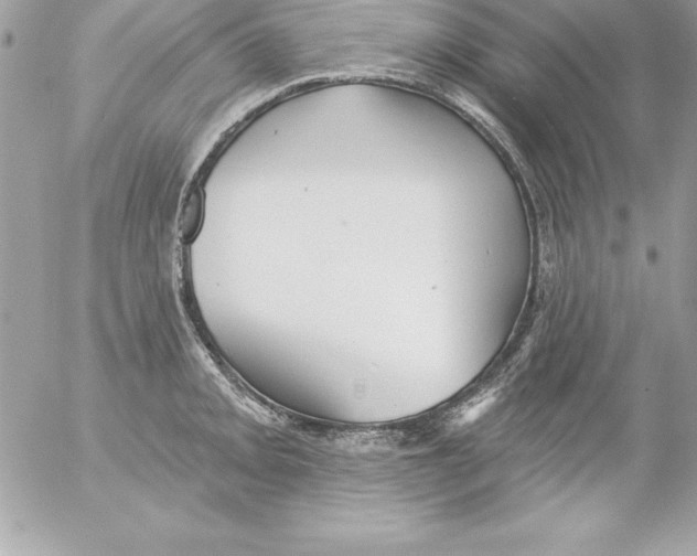 X0000054401093200508262225