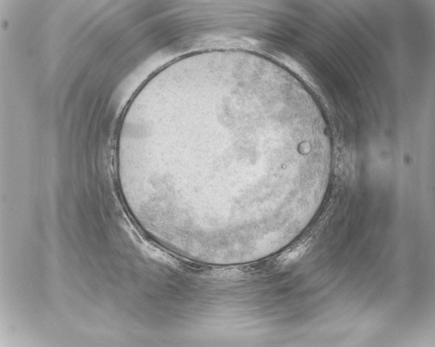 X0000054401094200508262225