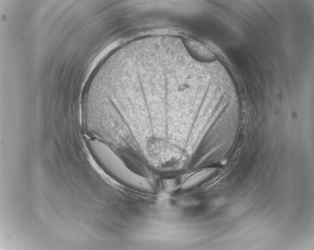 X0000054401095200508262225