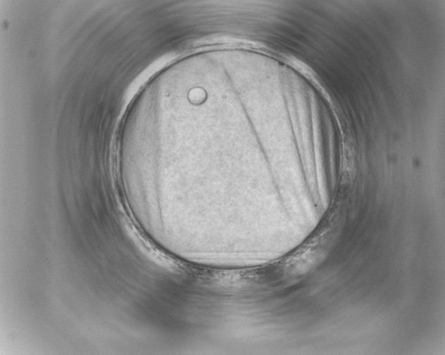 X0000054401098200508262225