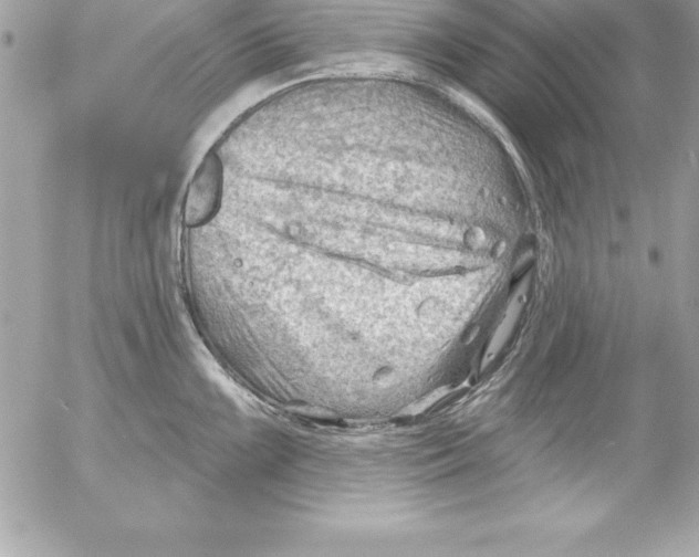 X0000054401099200508262225