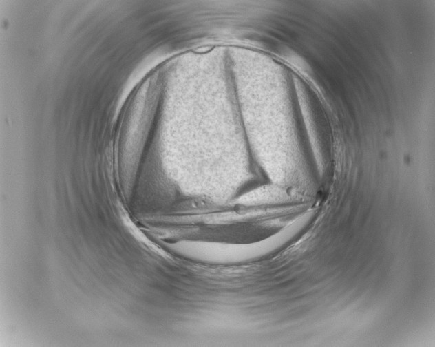 X0000054401100200508262225