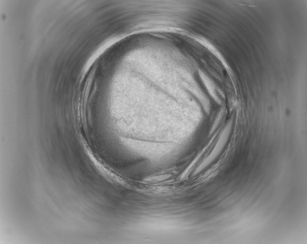 X0000054401101200508262225