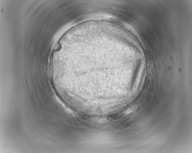 X0000054401103200508262225