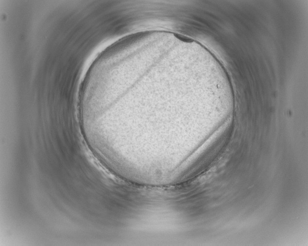 X0000054401104200508262224