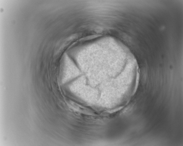 X0000054401105200508262224