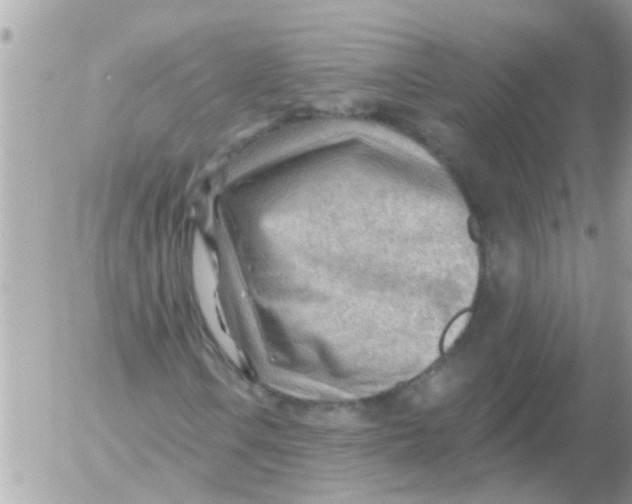 X0000054401106200508262224