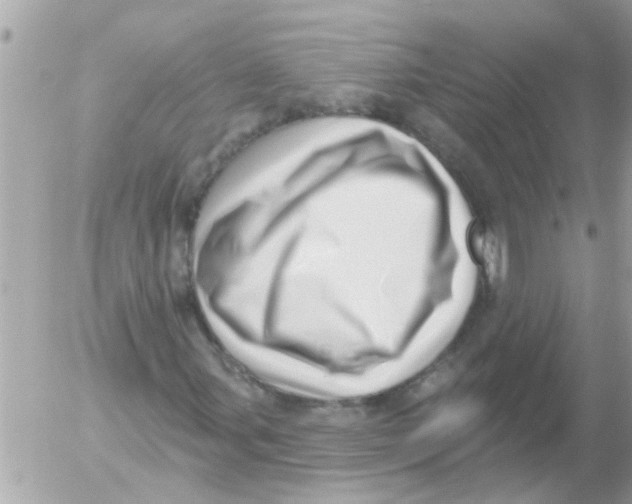 X0000054401107200508262224