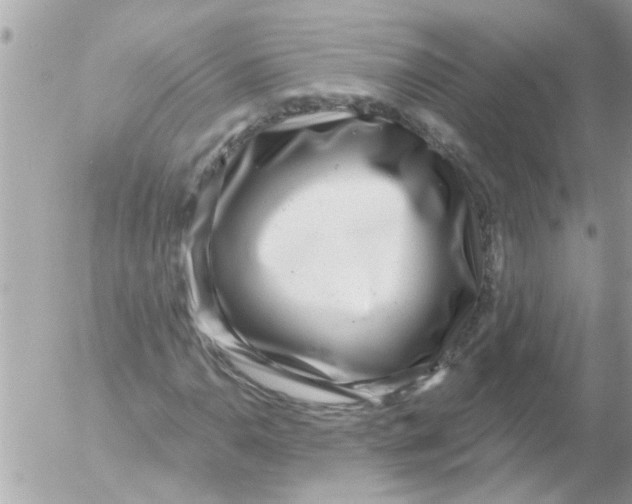 X0000054401110200508262224