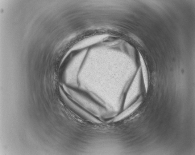 X0000054401111200508262224