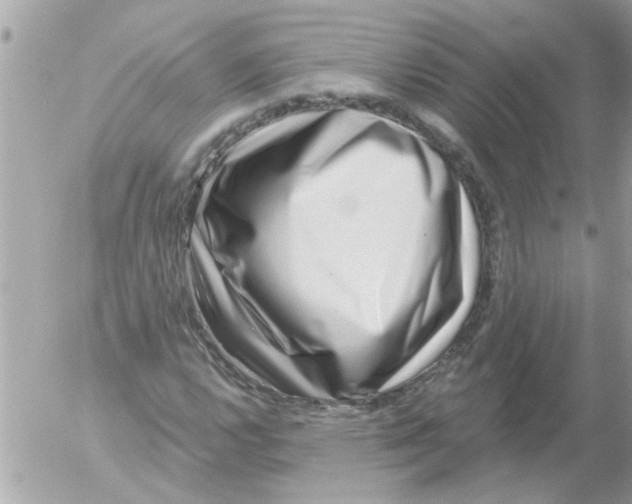 X0000054401112200508262224