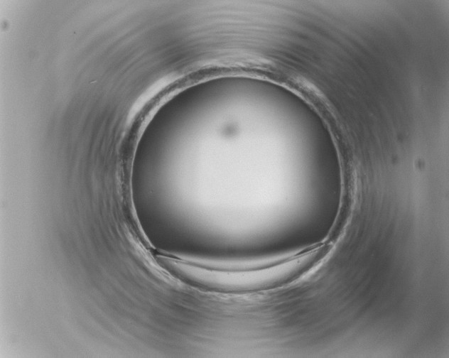 X0000054401114200508262224