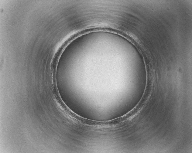 X0000054401118200508262224