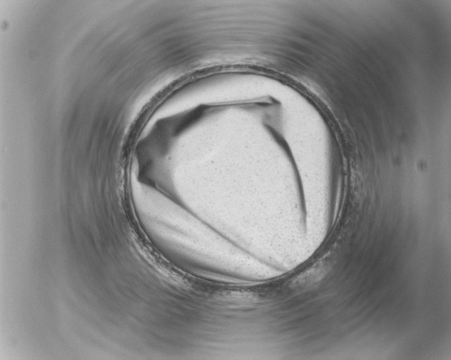 X0000054401119200508262224