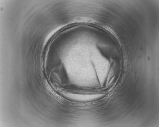 X0000054401120200508262224