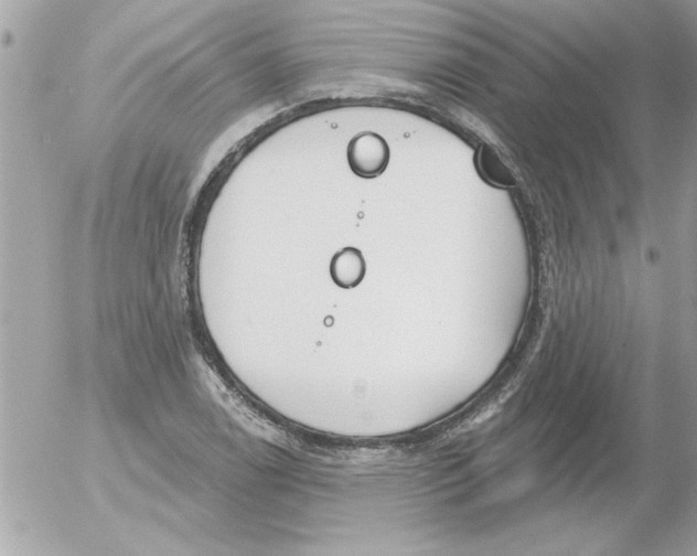 X0000054401122200508262224