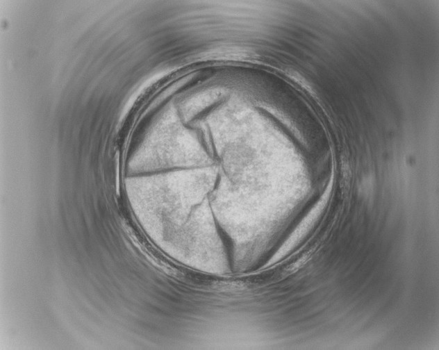 X0000054401123200508262224