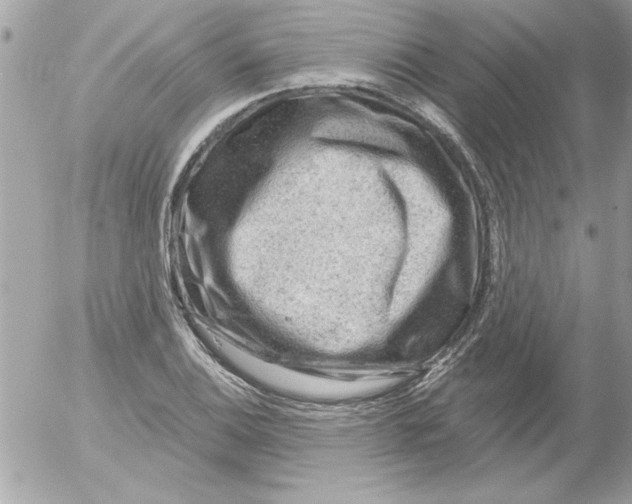 X0000054401124200508262224