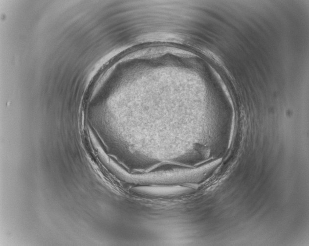 X0000054401125200508262224