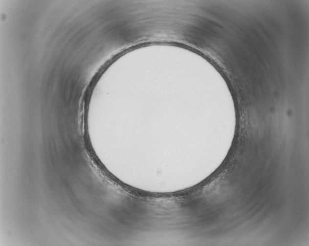 X0000054401126200508262224