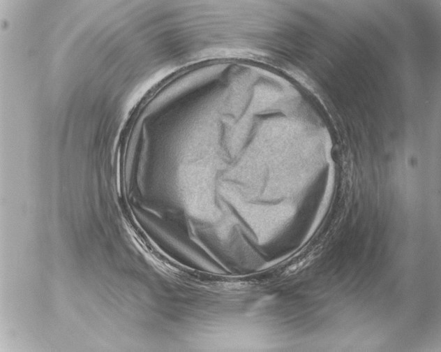 X0000054401127200508262224