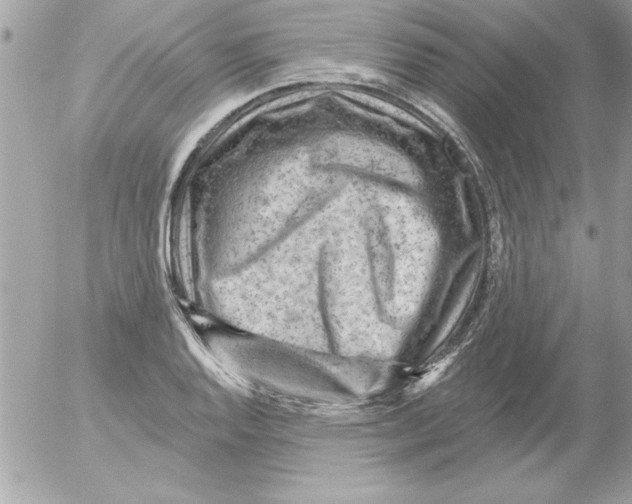 X0000054401128200508262224