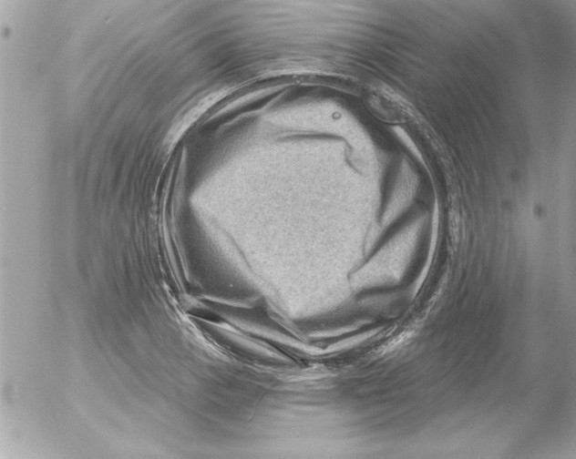 X0000054401129200508262224