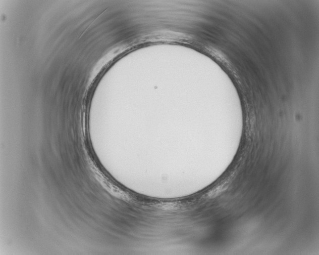 X0000054401130200508262224