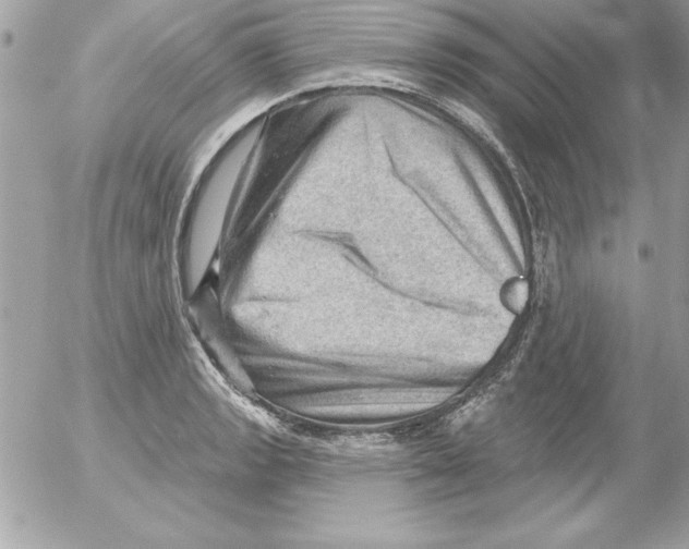 X0000054401133200508262224