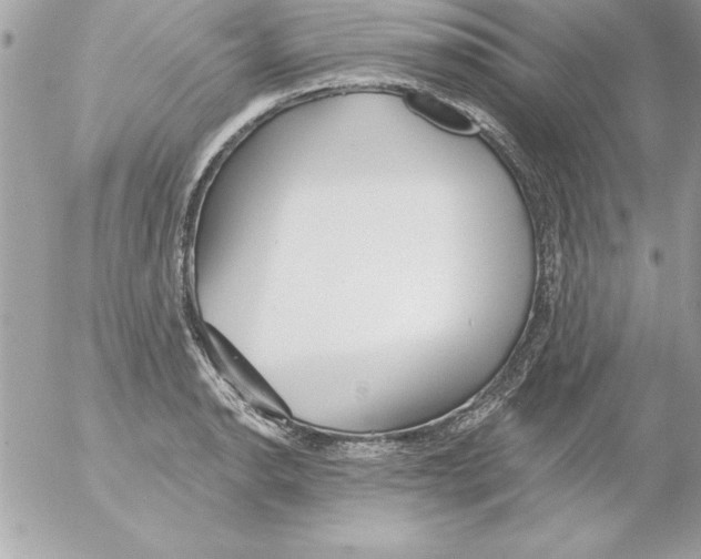 X0000054401134200508262224