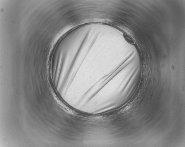 X0000054401135200508262224