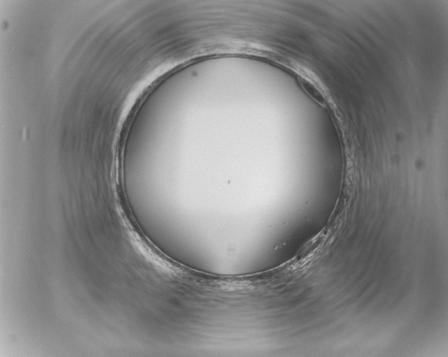 X0000054401136200508262224