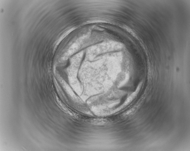 X0000054401137200508262224