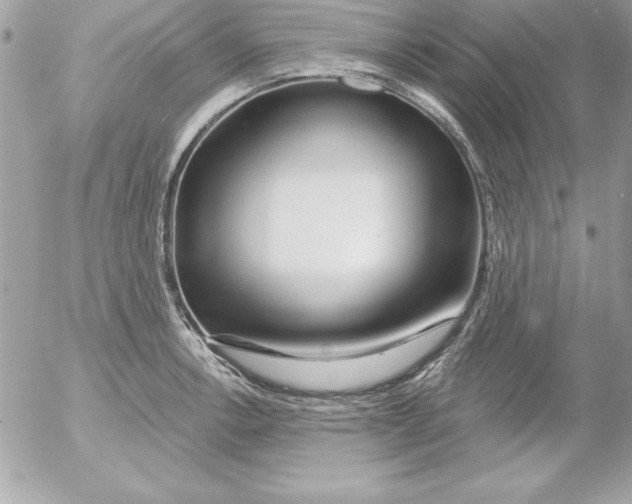 X0000054401138200508262224