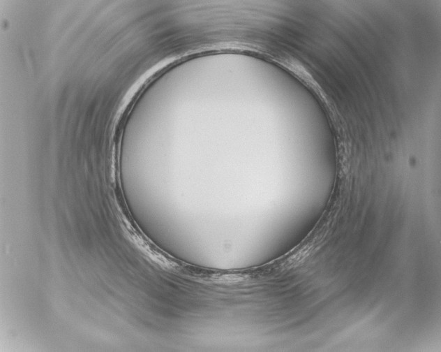 X0000054401140200508262224