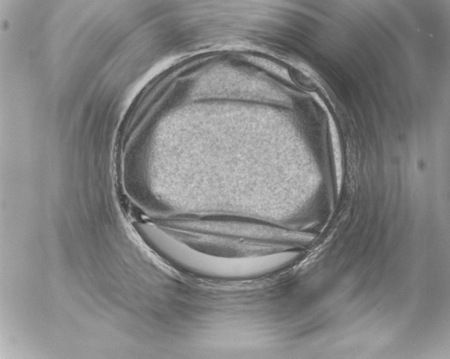 X0000054401142200508262224