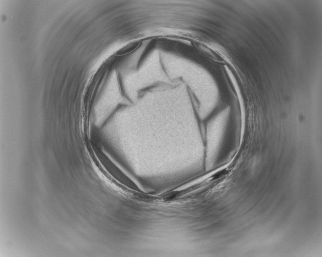 X0000054401143200508262224