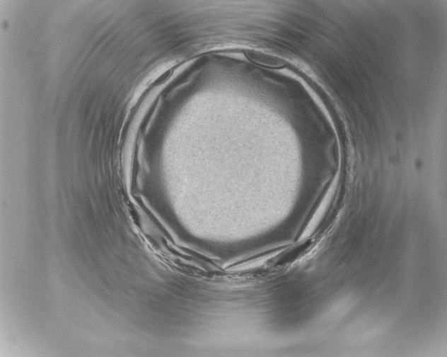 X0000054401145200508262224