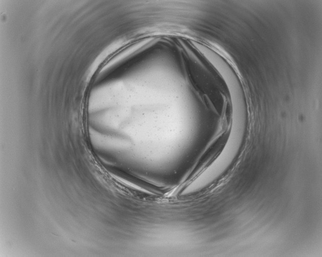 X0000054401146200508262224