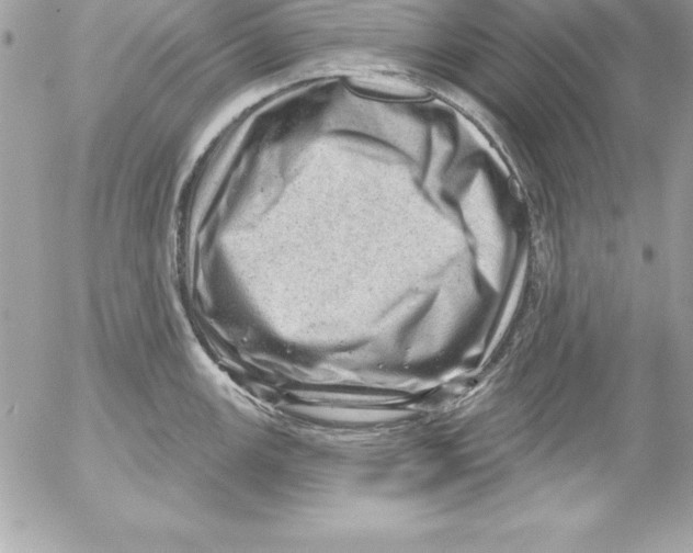 X0000054401147200508262224