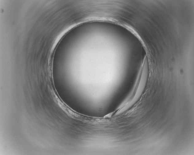 X0000054401148200508262224