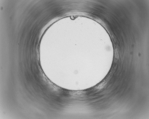 X0000054401150200508262224